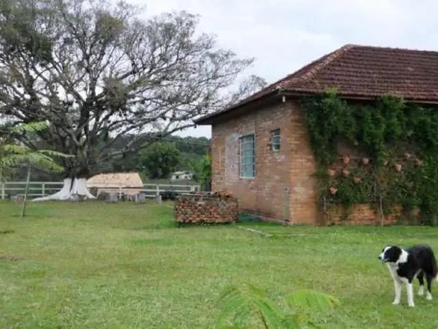 Sítio e chácara venda em Região Geográfica Imediata de Porto Alegre, Região Metropolitana de Porto Alegre