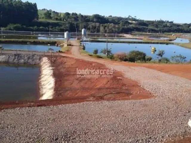 Sítio e chácara venda em Região Geográfica Imediata de Marechal Cândido Rondon, Nova Santa Rosa