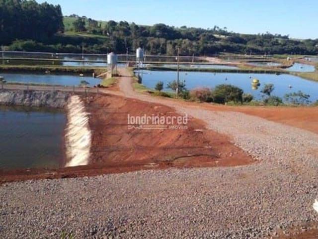 Sítio e chácara venda em Nova Santa Rosa, Região Geográfica Intermediária de Cascavel