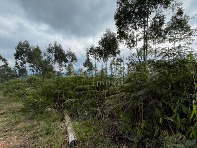 Sítio e chácara venda em Nova Trento, Região Geográfica Intermediária de Blumenau