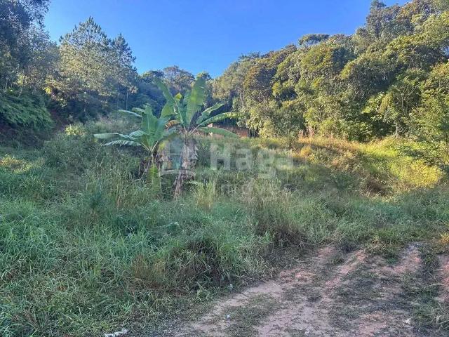 Sítio e chácara venda em Região Geográfica Imediata de Brusque, Nova Trento