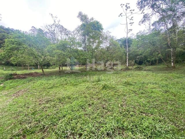 Sítio e chácara venda em Nova Trento, Região Geográfica Intermediária de Blumenau