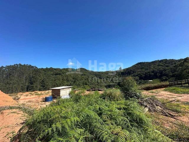 Sítio e chácara venda em Nova Trento, Região Geográfica Intermediária de Blumenau