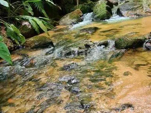 Sítio e chácara venda em Região Geográfica Imediata de Brusque, Nova Trento