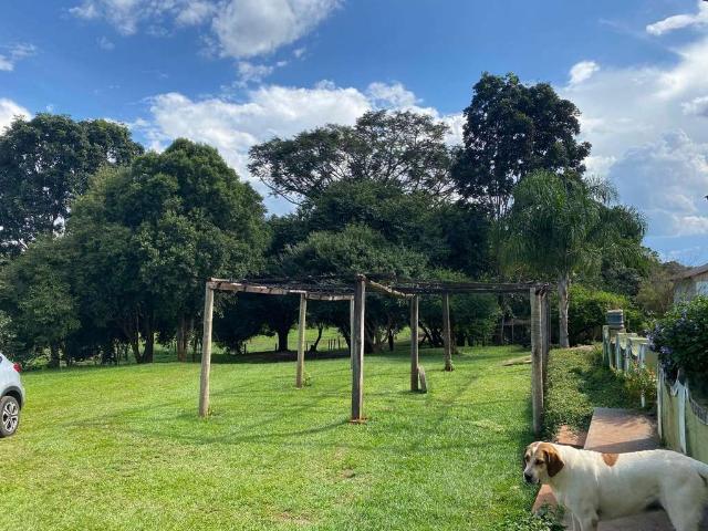 Sitio venda em Nova Veneza