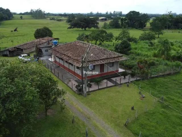 Sítio e chácara venda em Região Geográfica Imediata de Criciúma, Nova Veneza