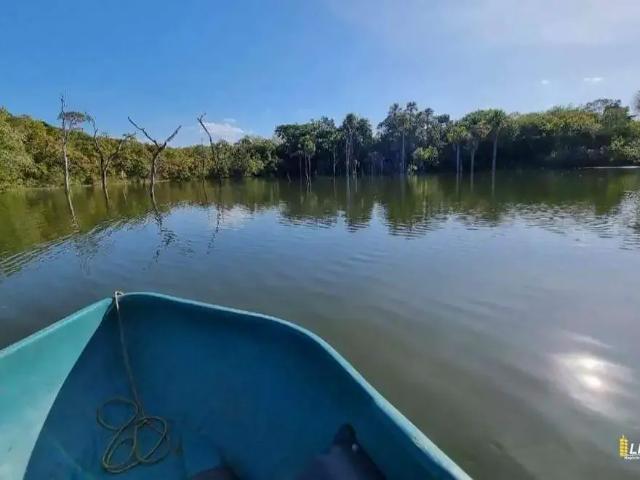 Sítio e chácara venda em Região Geográfica Imediata de Barra do Garças, Nova Xavantina
