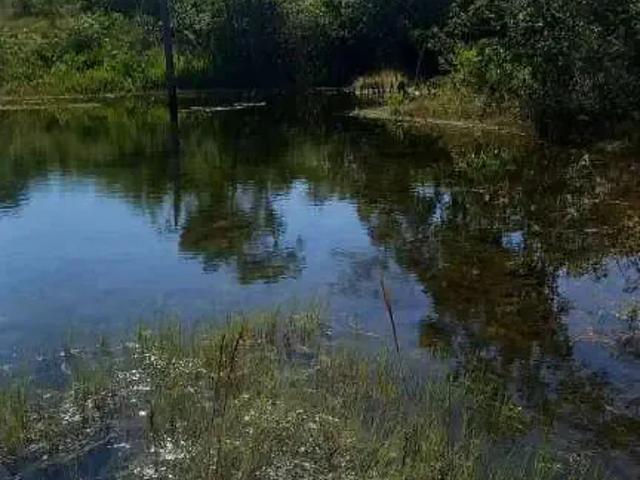 Sítio e chácara venda em Região Geográfica Imediata de Palmas, Novo Acordo