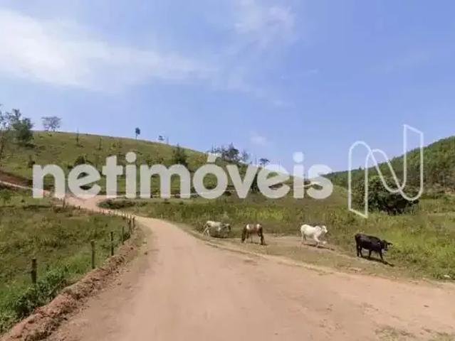Sítio e chácara venda em Região Geográfica Imediata de Teófilo Otoni, Novo Cruzeiro