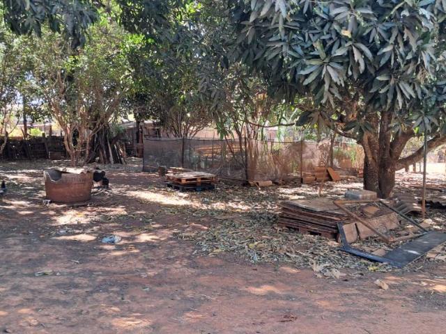Sítio e chácara venda em Novo Gama, Região Geográfica Intermediária de Luziânia-Águas Lindas de Goiás