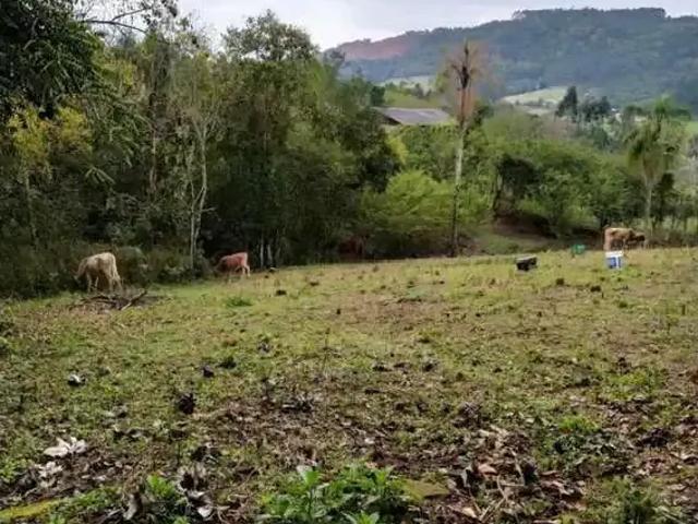 Sítio e chácara venda em Região Geográfica Imediata de Novo Hamburgo - São Leopoldo, Região Metropolitana de Porto Alegre