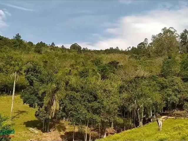 Sítio e chácara venda em Região Geográfica Imediata de Novo Hamburgo - São Leopoldo, Região Metropolitana de Porto Alegre