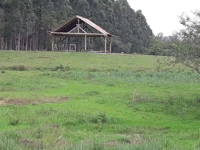 Sítio e chácara venda em Região Geográfica Imediata de Novo Hamburgo - São Leopoldo, Região Metropolitana de Porto Alegre