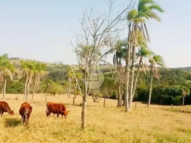 Sítio e chácara venda em Região Geográfica Imediata de Novo Hamburgo - São Leopoldo, Região Metropolitana de Porto Alegre