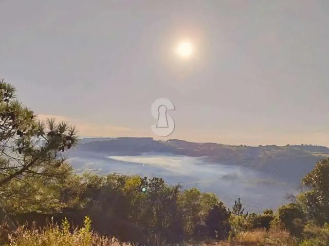 Sítio e chácara venda em Lomba Grande, Novo Hamburgo