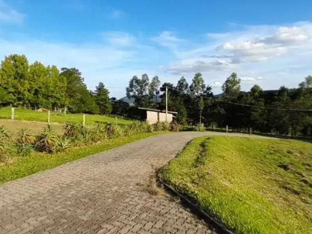 Sítio e chácara venda em Região Geográfica Imediata de Novo Hamburgo - São Leopoldo, Região Metropolitana de Porto Alegre