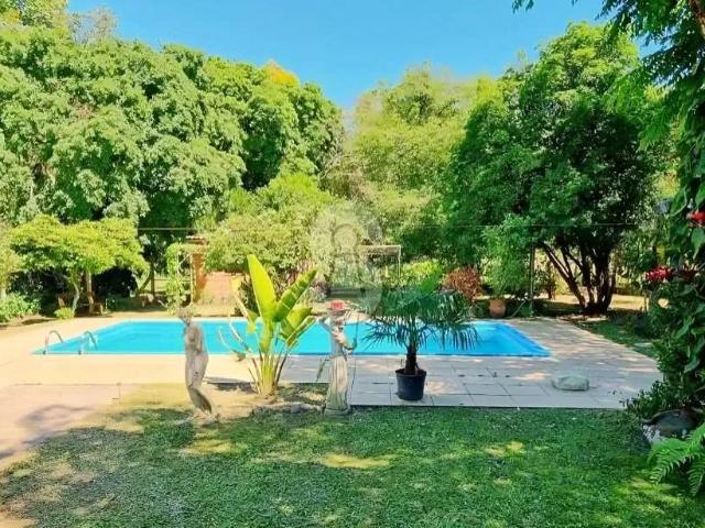 Sítio e chácara venda em Lomba Grande, Novo Hamburgo