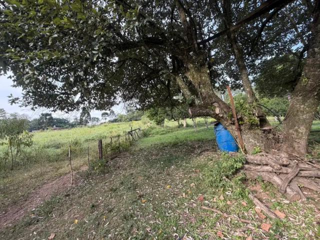 Sítio e chácara venda em Região Geográfica Imediata de Novo Hamburgo - São Leopoldo, Região Metropolitana de Porto Alegre
