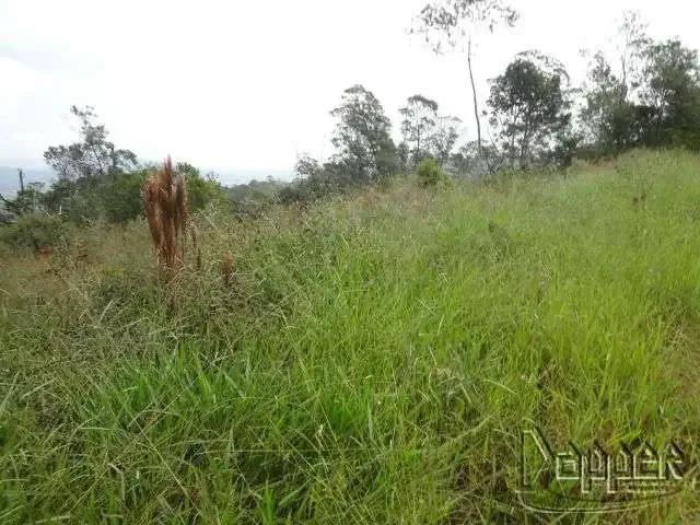 Sítio e chácara venda em Região Geográfica Imediata de Novo Hamburgo - São Leopoldo, Região Metropolitana de Porto Alegre