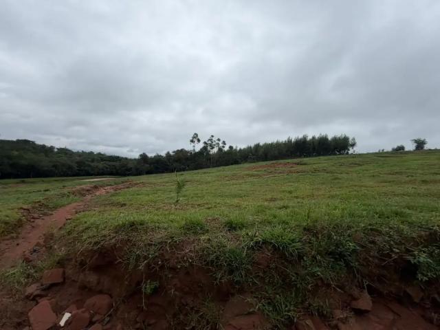 Sítio e chácara venda em Região Geográfica Imediata de Novo Hamburgo - São Leopoldo, Região Metropolitana de Porto Alegre