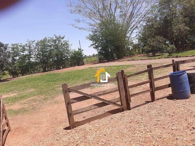 Sítio e chácara venda em Região Imediata de São José do Rio Preto, Novo Horizonte