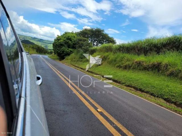 Sítio e chácara venda em Região Geográfica Imediata de Apucarana, Novo Itacolomi