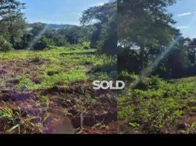Sítio e chácara venda em Região Imediata de São Joaquim da Barra-Orlândia, Região Metropolitana de Ribeirão Preto