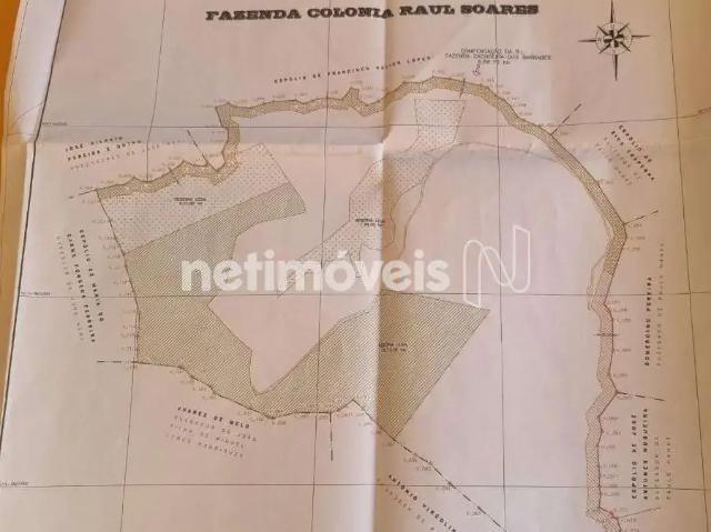 Sítio e chácara venda em Região Geográfica Imediata de Pará de Minas, Onça de Pitangui