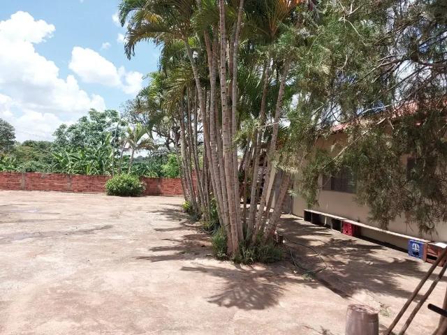 Sítio e chácara venda em Região Imediata de São José do Rio Preto, Região Metropolitana de São José do Rio Preto
