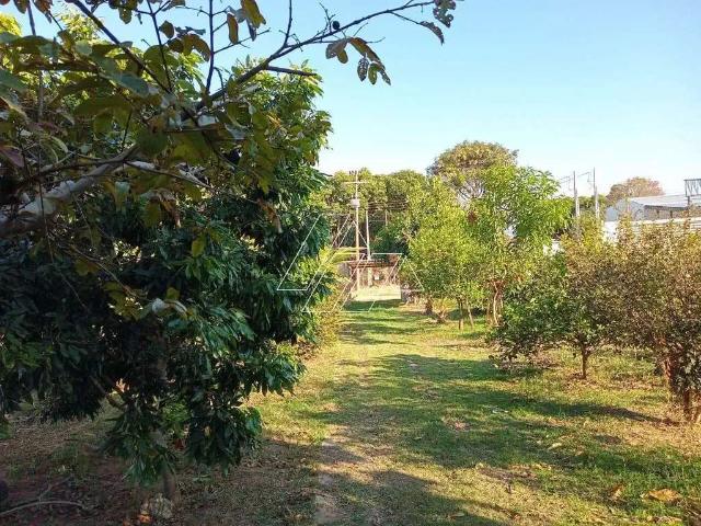 Sítio e chácara venda em Região Imediata de Marília, Oriente