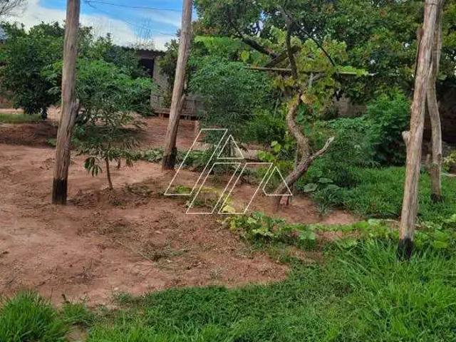Sítio e chácara venda em Região Imediata de Marília, Oriente