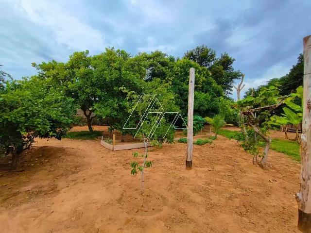 Sítio e chácara venda em Região Imediata de Marília, Oriente