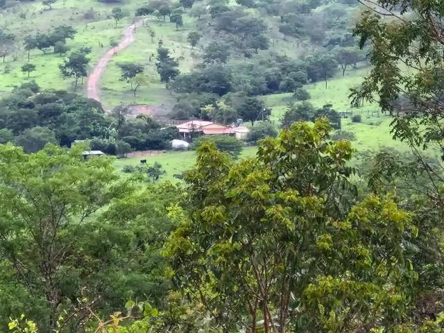 Sítio e chácara venda em Região Geográfica Imediata de Pires do Rio, Orizona