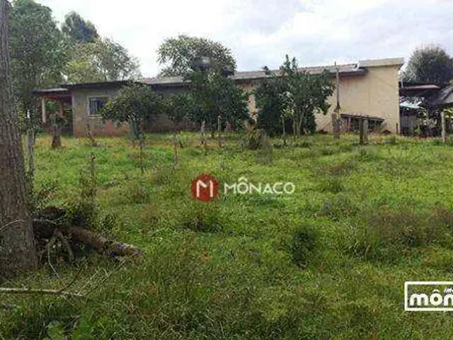 Sítio e chácara venda em Região Geográfica Imediata de Telêmaco Borba, Ortigueira
