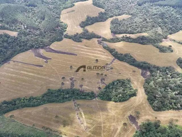 Sítio e chácara venda em Região Geográfica Imediata de Lages, Otacílio Costa