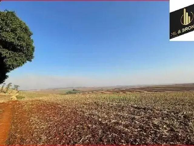 Sítio e chácara venda em Região Geográfica Imediata de Maringá, Ourizona