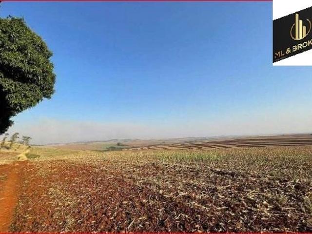 Sítio e chácara venda em Ourizona, Região Geográfica Intermediária de Maringá