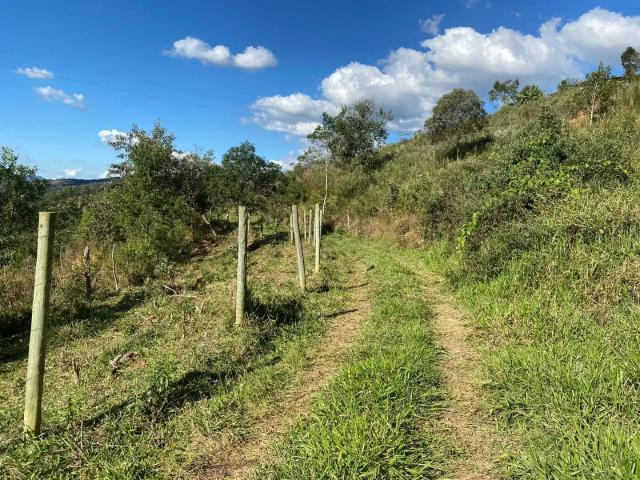 Sítio e chácara venda em Jardim Monte Belo, Ouro Branco
