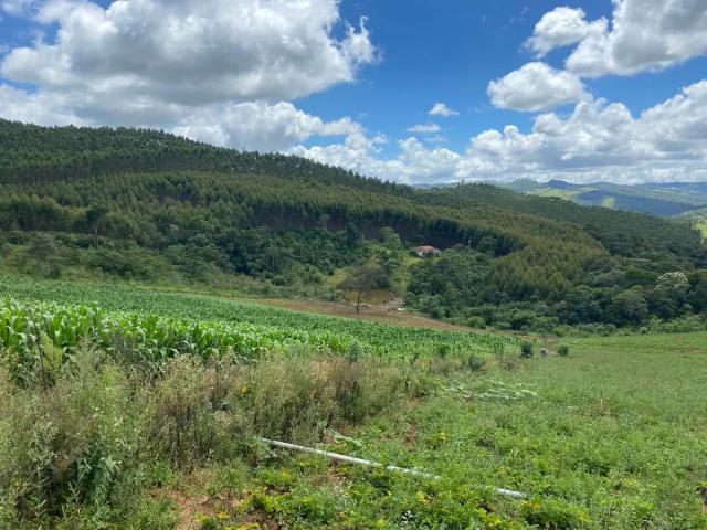 Sítio e chácara venda em Jardim Monte Belo, Ouro Branco