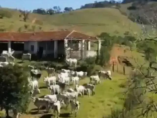 Sítio e chácara venda em Região Geográfica Imediata de Pouso Alegre, Ouro Fino