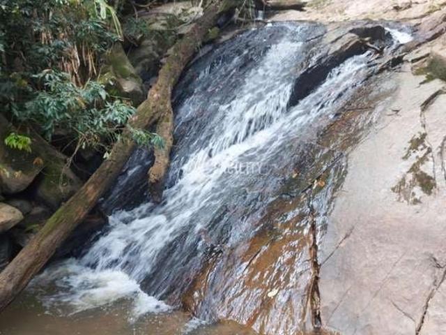 Sítio e chácara venda em Região Geográfica Imediata de Pouso Alegre, Ouro Fino