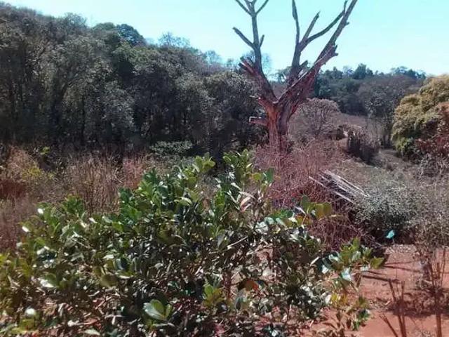Sítio e chácara venda em Região Geográfica Imediata de Pouso Alegre, Ouro Fino
