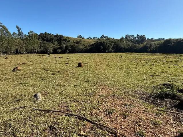 Sítio e chácara venda em Região Geográfica Imediata de Pouso Alegre, Ouro Fino