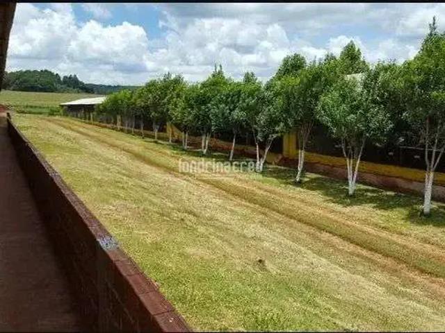 Sítio e chácara venda em Região Geográfica Imediata de Toledo, Ouro Verde do Oeste