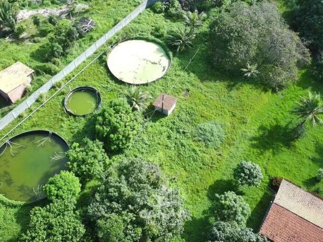 Sítio e chácara venda em Sede, Paço do Lumiar