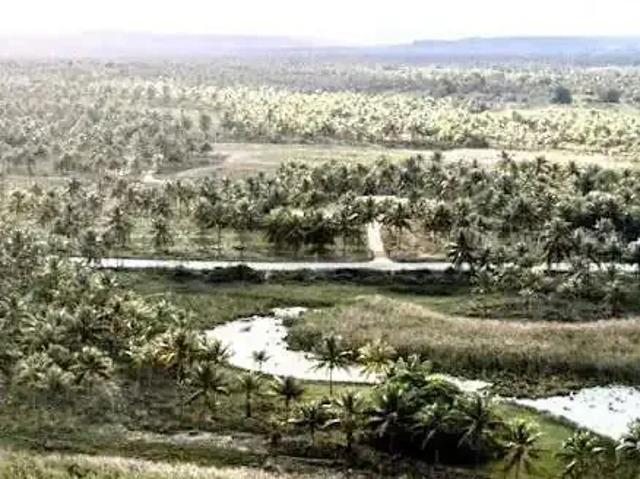 Sítio e chácara venda em Região Geográfica Imediata de Aracaju, Região Metropolitana de Aracaju