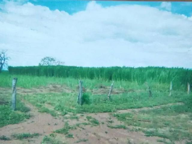 Sítio e chácara venda em Região Geográfica Imediata de Águas Lindas de Goiás, Região Integrada de Desenvolvimento do Distrito Federal e Entorno