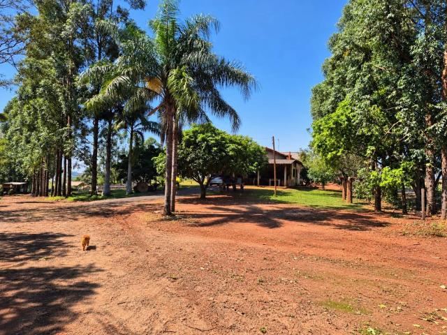 Sítio e chácara venda em Paiçandu, Região Geográfica Intermediária de Maringá
