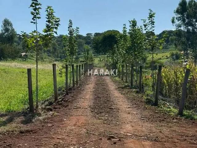Sítio e chácara venda em Água Boa, Paiçandu