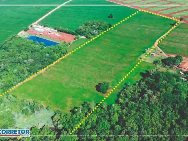 Sítio e chácara venda em Região Geográfica Imediata de Maringá, Paiçandu